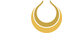 Certificate Icon